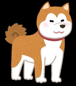 秋田犬