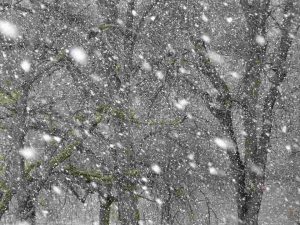 吹雪_R