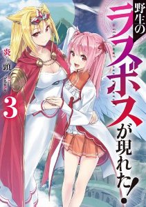 野生のラスボスが現れた！ ネタバレ 3巻