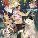 異世界に落とされた…浄化は基本! 3巻 感想・ネタバレ 森の神 翔(あきら)